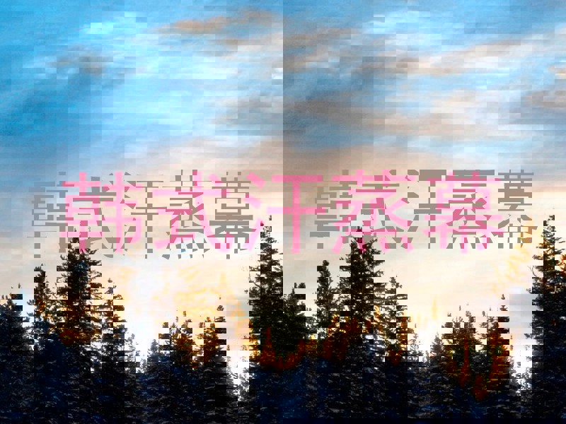 韩式汗蒸幕