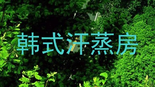 韩式汗蒸房