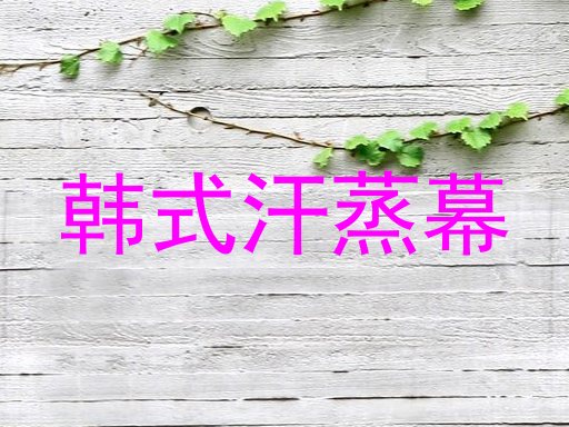 韩式汗蒸幕