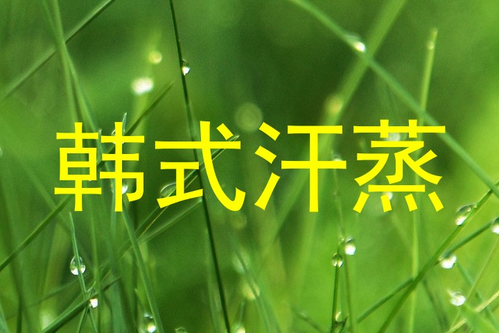 韩式汗蒸