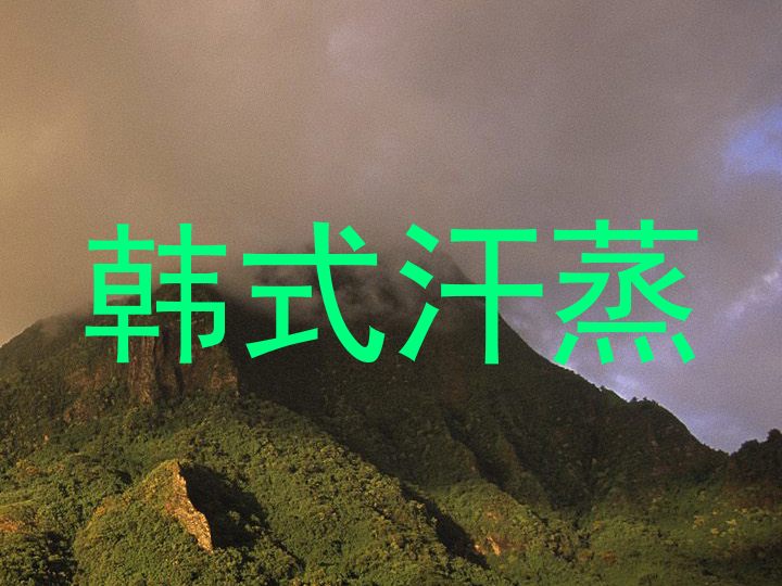 韩式汗蒸