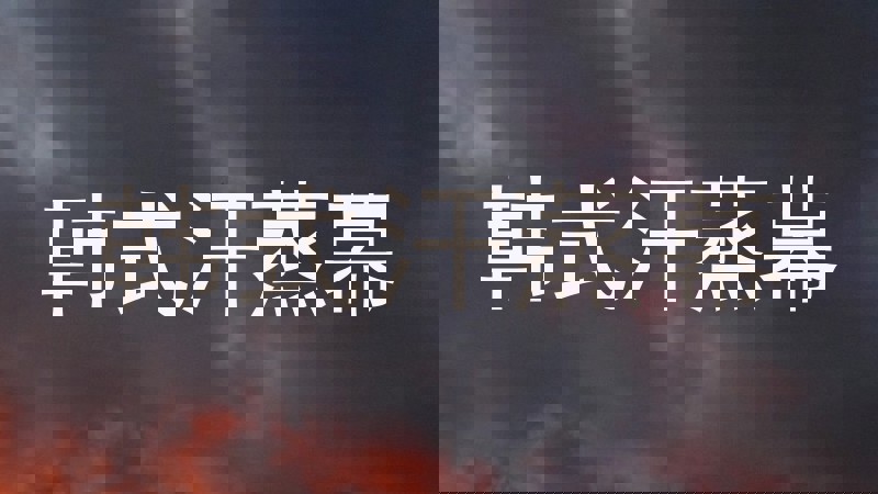 韩式汗蒸幕