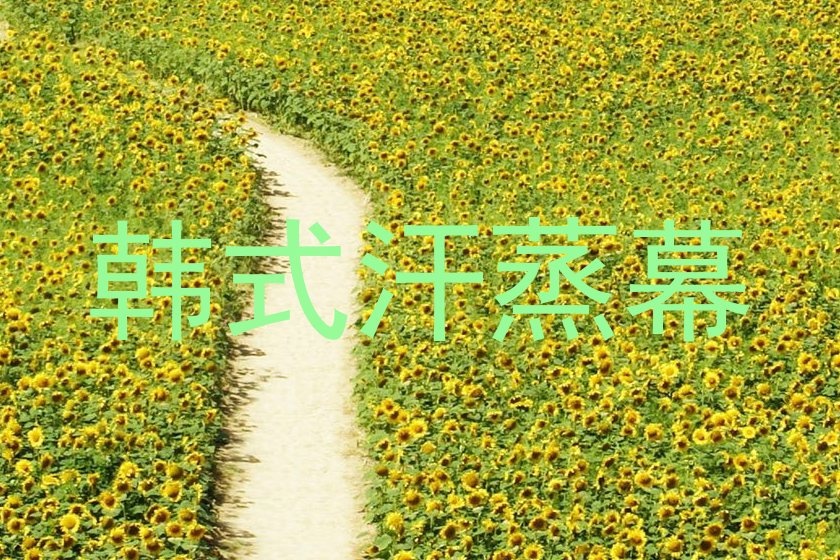 韩式汗蒸幕