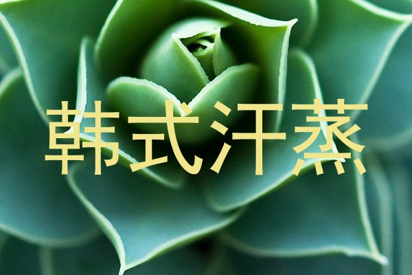 韩式汗蒸