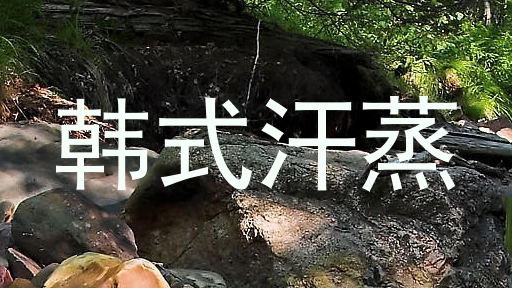 韩式汗蒸