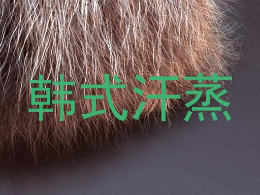 韩式汗蒸