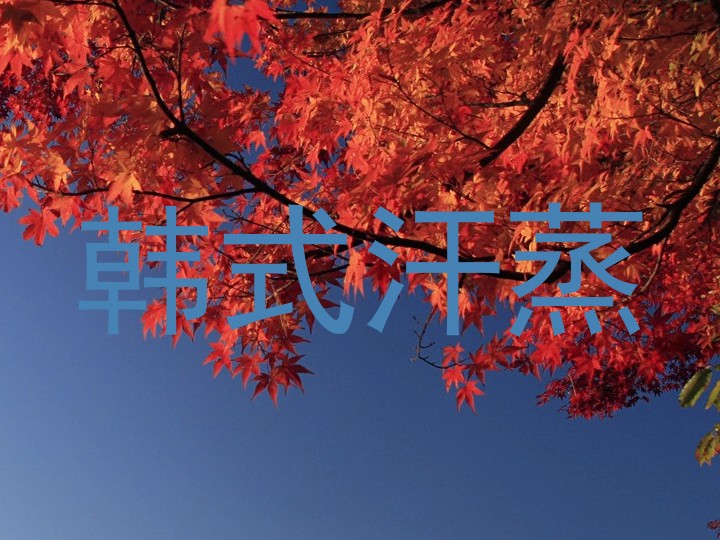 韩式汗蒸