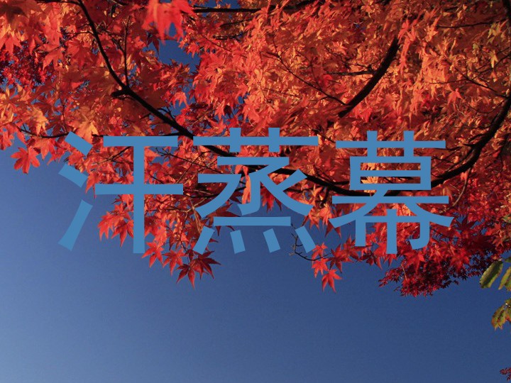 汗蒸幕