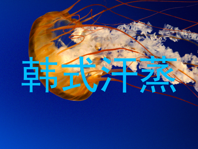 韩式汗蒸