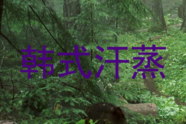 韩式汗蒸