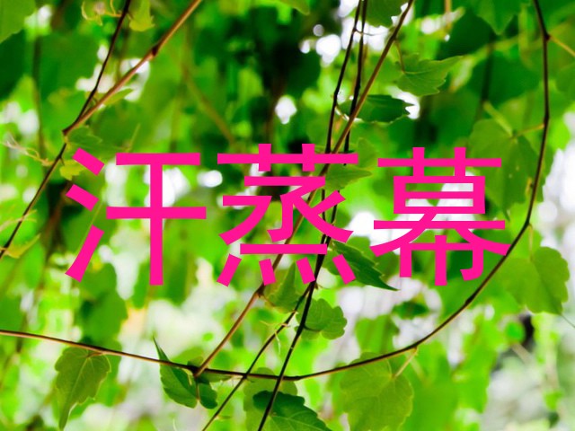 汗蒸幕