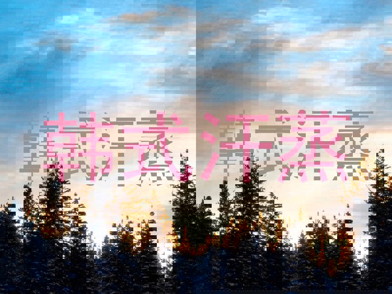 韩式汗蒸