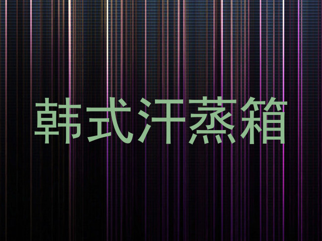 韩式汗蒸箱