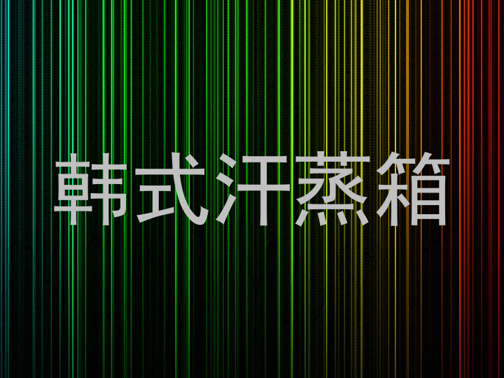 韩式汗蒸箱