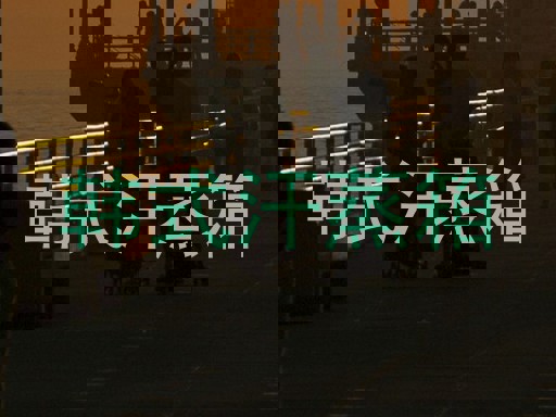 韩式汗蒸箱