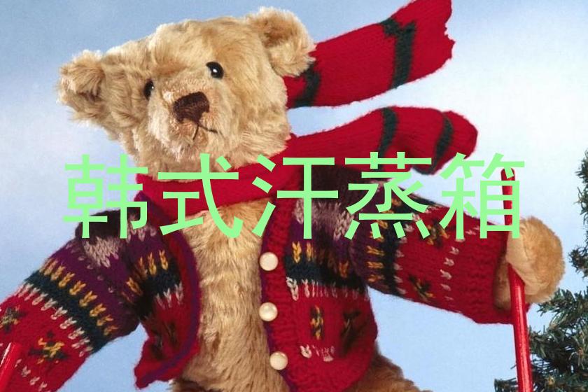韩式汗蒸箱