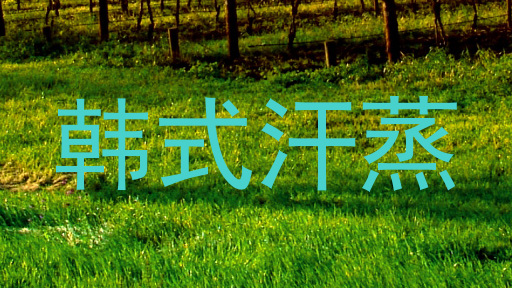 韩式汗蒸