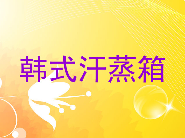 韩式汗蒸箱