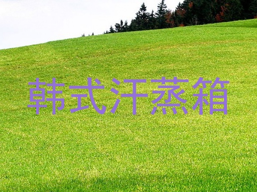 韩式汗蒸箱