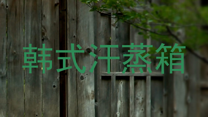 韩式汗蒸箱