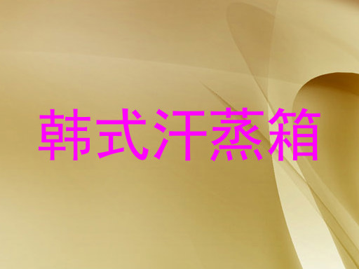 韩式汗蒸箱