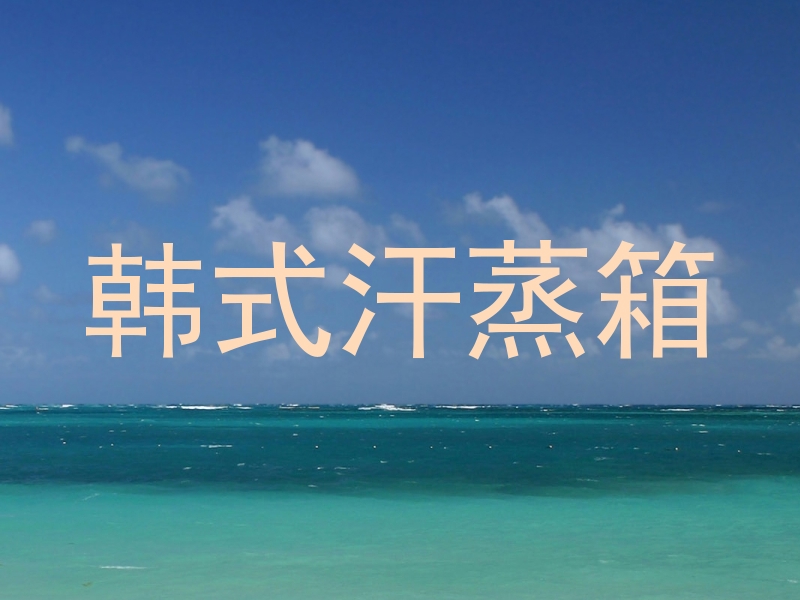 韩式汗蒸箱