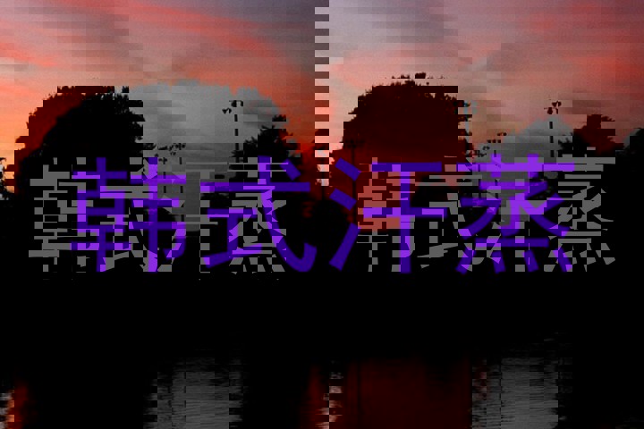 韩式汗蒸