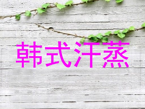 韩式汗蒸