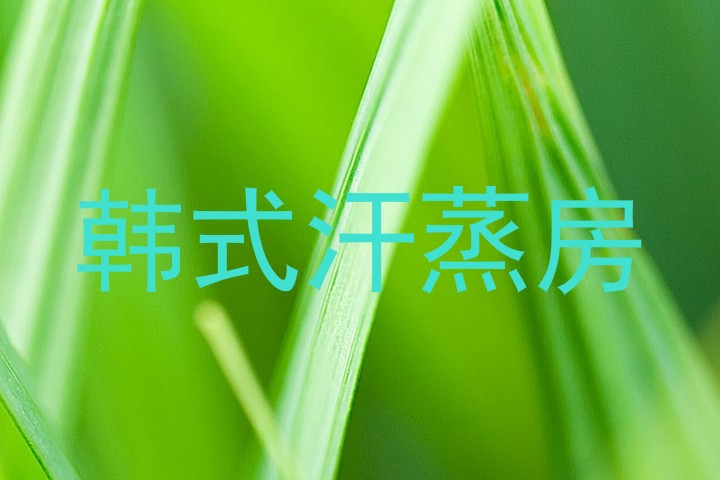 韩式汗蒸房