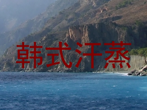 韩式汗蒸
