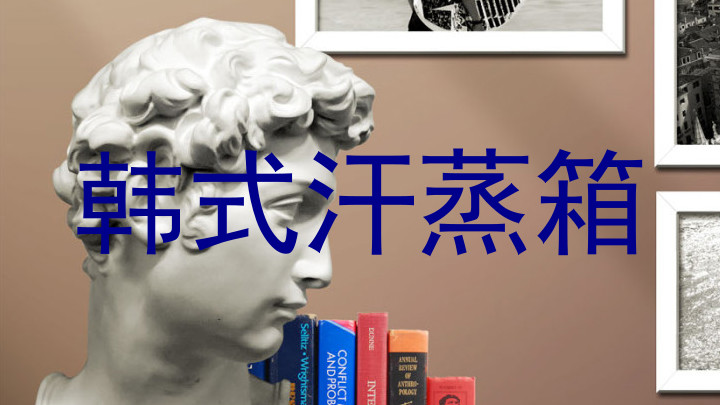 韩式汗蒸箱