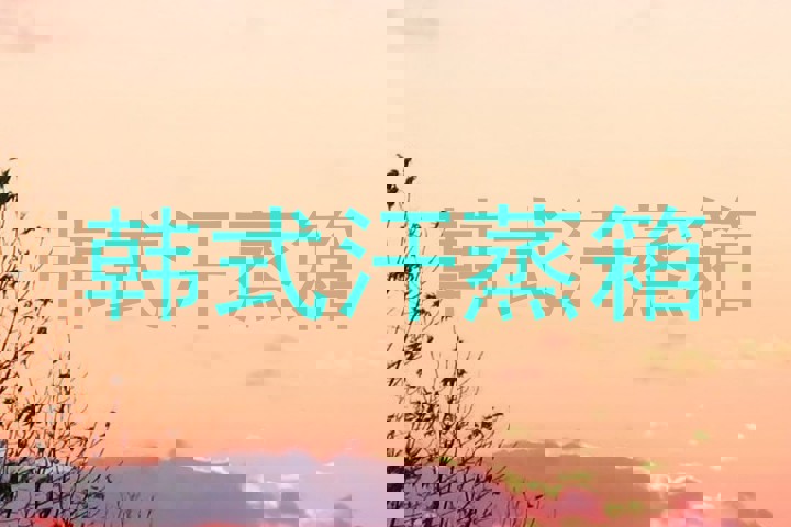 韩式汗蒸箱