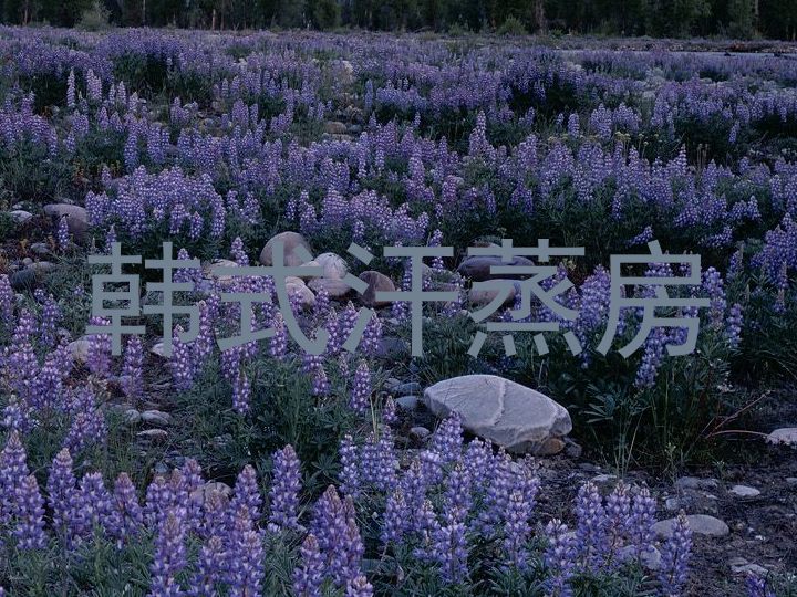 韩式汗蒸房