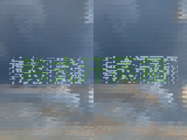 韩式汗蒸箱