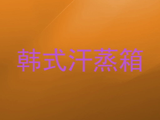韩式汗蒸箱