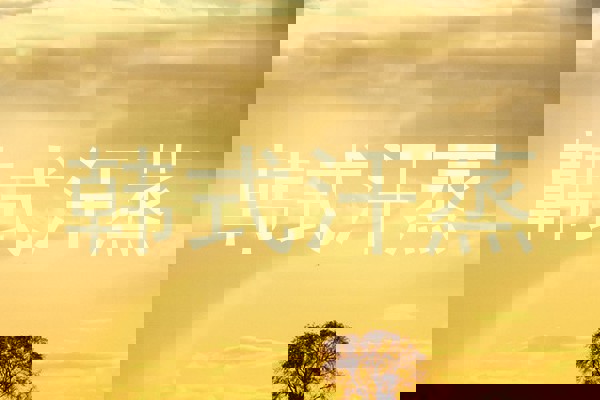 韩式汗蒸