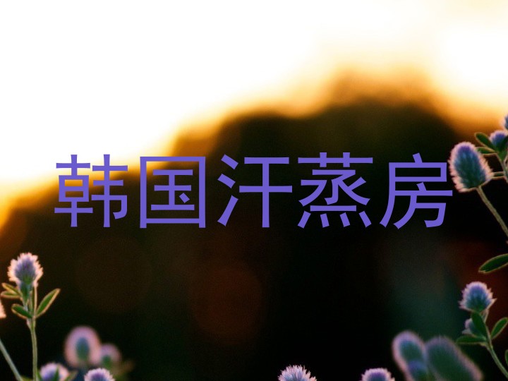 韩国汗蒸房