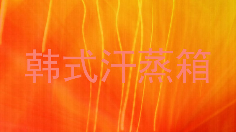 韩式汗蒸箱