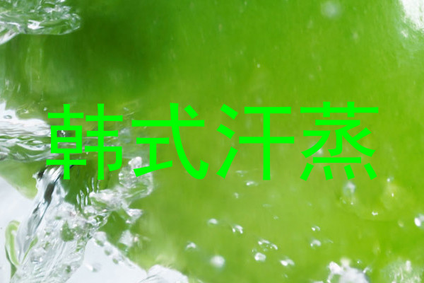 韩式汗蒸