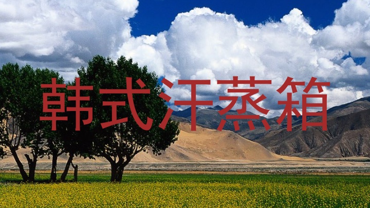 韩式汗蒸箱