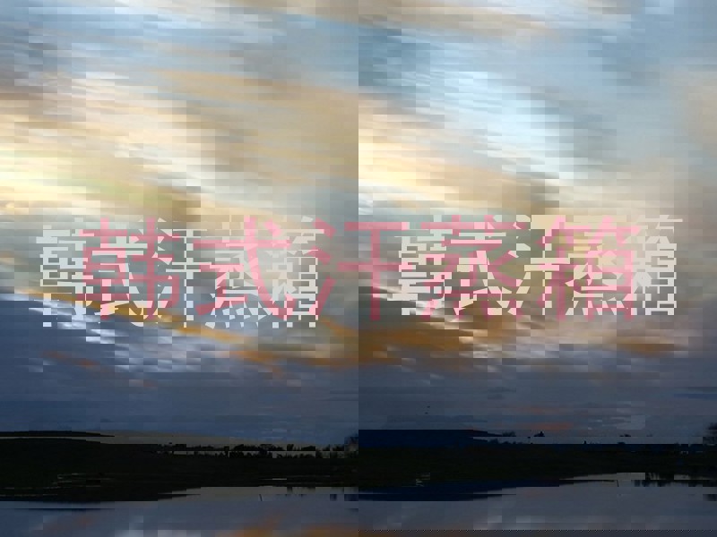 韩式汗蒸箱