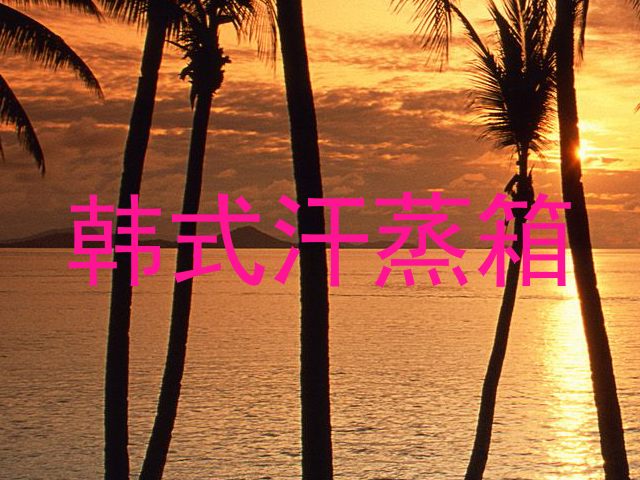 韩式汗蒸箱
