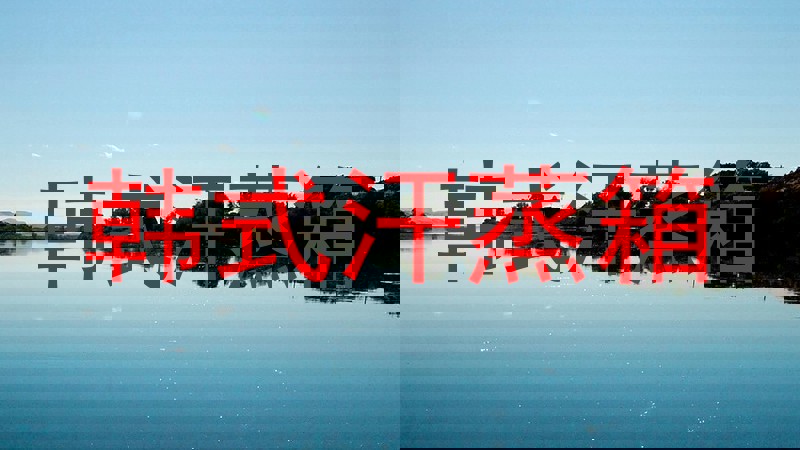 韩式汗蒸箱