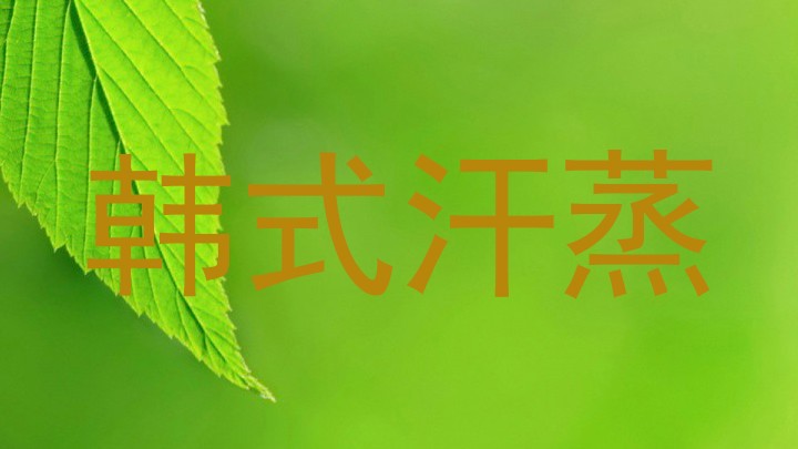 韩式汗蒸