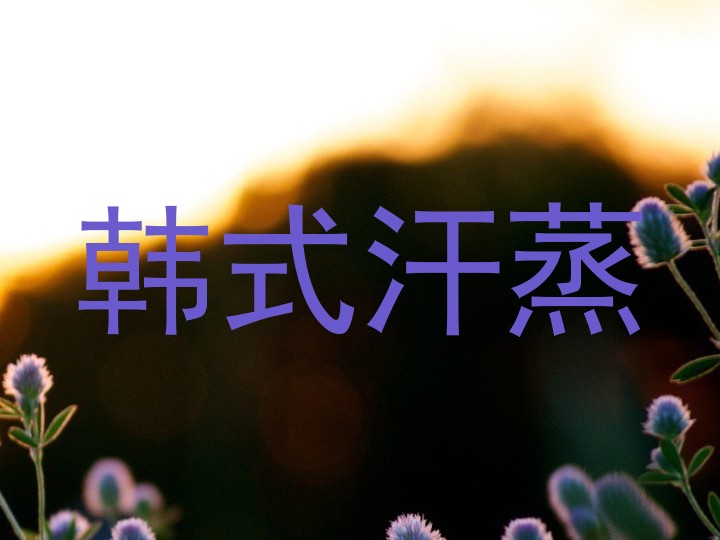 韩式汗蒸