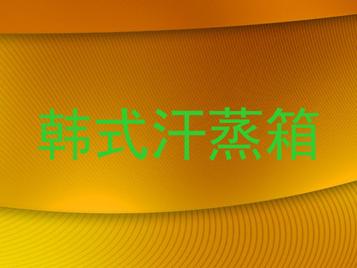 韩式汗蒸箱