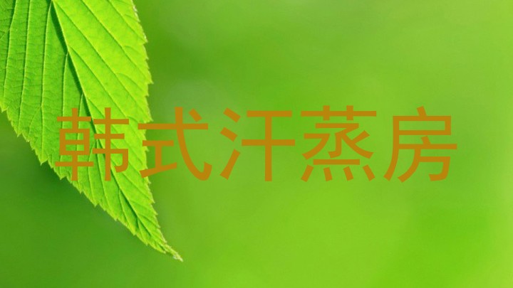 韩式汗蒸房