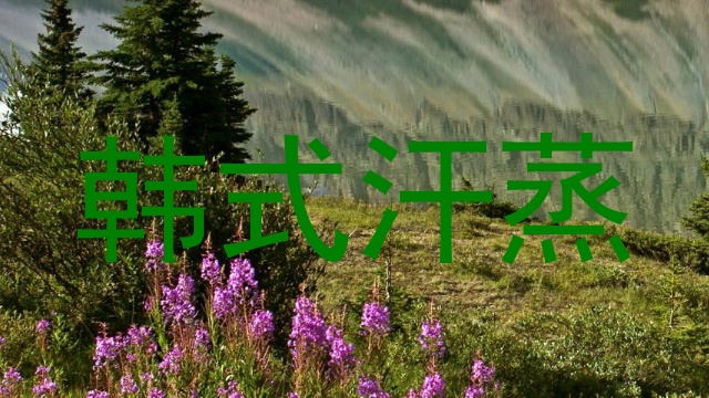 韩式汗蒸