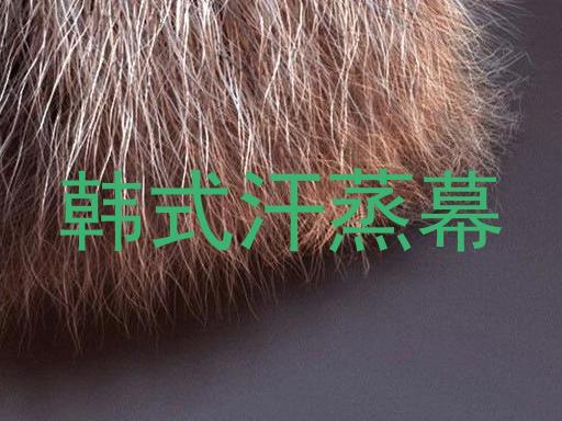 韩式汗蒸幕