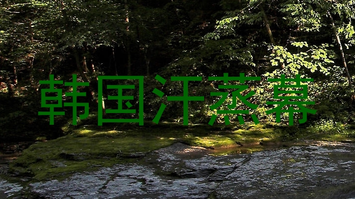 韩国汗蒸幕